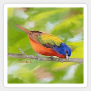 Painted Bunting painted by me Sticker